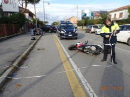 Cane scappa di casa e provoca un incidente 