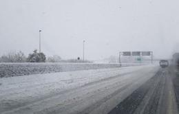 A13 e A14, disagi per le nevicate attorno al nodo di Bologna