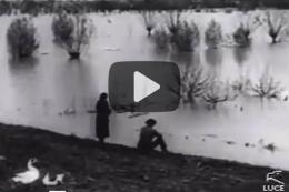La grande alluvione 66 anni dopo, in due imperdibili filmati d'epoca 