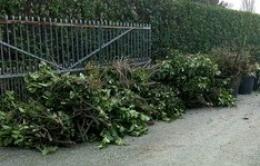 Catasta di ramaglie in un'area pubblica