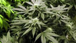 Delta Volley, Luigi Veronese: “Per noi, rimane un bravo ragazzo”