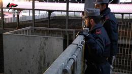 Rifiuti nei campi senza essere trattati, indagini anche per abuso d'ufficio