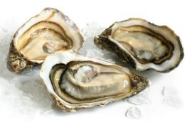 Lo ostriche del Delta per l'aperitivo di Natale alla Camera