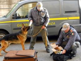 Pusher latitante arrestato dalle Fiamme gialle