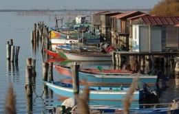 Incredibile, la Provincia nega ancora il confronto ai pescatori in attesa delle licenze per lavorare