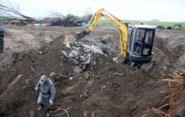 Sequestrata nel cuore del Delta discarica abusiva piena di amianto 