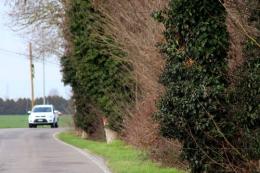 Rami a bassa quota su via Ippolito Nievo 