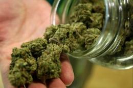 Getta la droga nel water per non farsi beccare. Condannato a 8 mesi