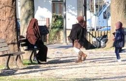  Il velo (integrale) della discordia
