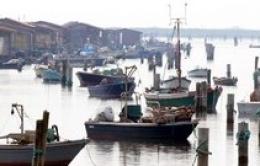 Pesca, Valerio Gibin: Crisi passata, ma c’è investire