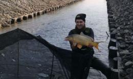 Canale senz'acqua, i pescatori traslocano 4 quintali di carpe