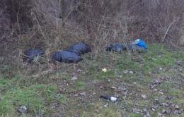 Rifiuti abbandonati nella golena del Po