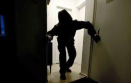Ladri picchiano e avvelenano due cani per agire indisturbati
