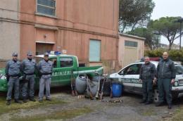 Caccia irregolare, 4 denunciati