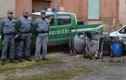 Caccia, il Wwf lancia l'allarme: Larga diffusione di bracconieri