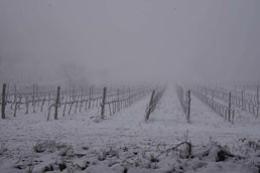 Niente neve neanche questa volta, ma il Polesine è circondato