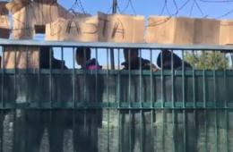 Nuova protesta dei profughi: qui non stiamo bene