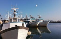 Flotta salva: ok agli sgravi fiscali nella pesca.