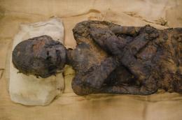 Le mummie a Rovigo