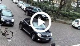 L'albero crollato in piazza Merlin: ecco un video clamoroso