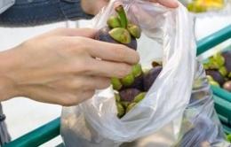 Freddo siberiano, prezzi di frutta e verdura schizzano alle stelle