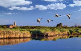 Un corso per il paesaggio del Delta