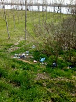 I volontari puliscono l'argine