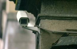 Lendinara alza la guardia,<br/>più telecamere e vigili di notte
