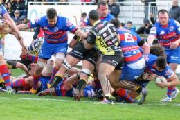 Challenge Cup, il sorteggio "premia" <br/> Rovigo sfiderà Calvisano al Battaglini