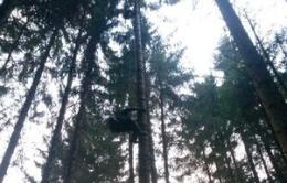 Si lancia col parapendio <br/> finisce incastrato tra gli alberi