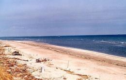 Follia omicida nel Delta<br/>ecco l'analisi del dna