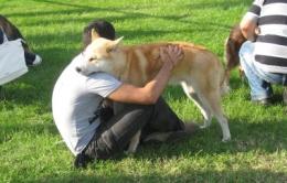 Ora anche gli animali da compagnia<br/> possono accedere a parchi e giardini