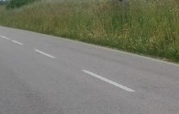 Basta auto sull'argine. Tutto l'anno