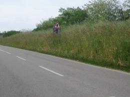 Erba alta nel territorio comunale<br/>  cambiata la ditta addetta allo sfalcio