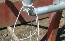 Strappato il cartello dei lavori<br/>dal ponte dei "Piccoli angeli"