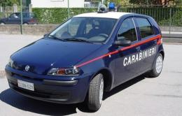 Ladri fanno visita al centro cinofilo <br/> rubati 15 euro e una scacciacani