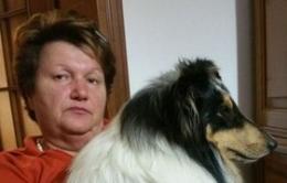 Cade mentre raccoglie le ciliegie <br/> e muore dopo 22 giorni