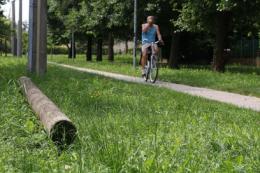 Parco Cibotto promosso col 6 <br/>  ma qualcosa da migliorare c'è