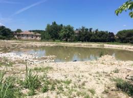 Grande caldo, boom di zanzare <br/> Baldetti, bomba ambientale 