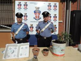 Blitz antidroga a Porto Viro <br/> piante di marija in casa di un 28enne