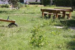 Un parco fra cartacce ed erba alta<br/> area verde di viale Gramsci trascurata 