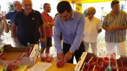Speculazione sui prodotti di stagione <br/> l'allarme della Coldiretti Rovigo