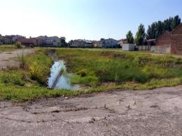 Un Ferragosto pieno di zanzare <br/> nell'area ex Gabar di San Bortolo