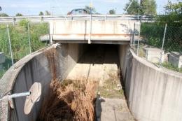 Sottopasso per rovi ed erbacce <br/> incuria e abbandono in città