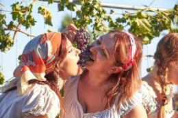 Una festa con i piedi nell'uva <br/> successo per la sagra del vino