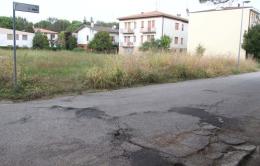 L'erbaccia si mangia la città <br/> "indegno di un capoluogo"