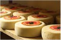 I Formaggi bellunesi <br/> di scena all'Expo