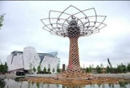 Il Veneto di scena all'Expo<br/> con tutta la sua filiera