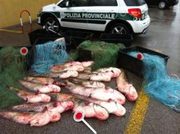 Il presidente Trombini <br/> chiude il Po alla pesca