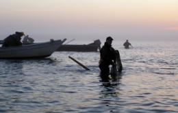 I pescatori portano in tribunale la Provincia: "Non ci lascia lavorare"